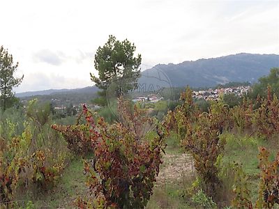 Terreno à venda em Fundão Valverde Donas Aldeia de Joanes e Aldeia