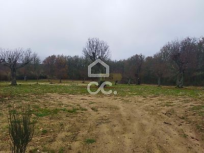 Terreno Venda Em Planalto De Monforte Oucidres E Bobadela Chaves