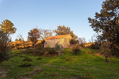 Farm T0 for sale in Santo Estêvão e Moita Sabugal Casa Yes