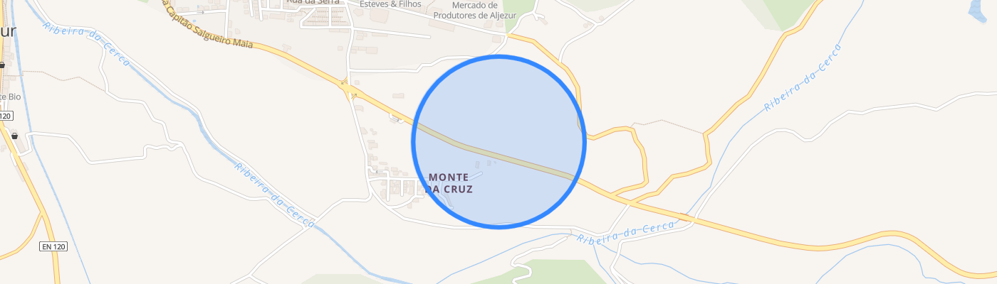 listing-map-picture