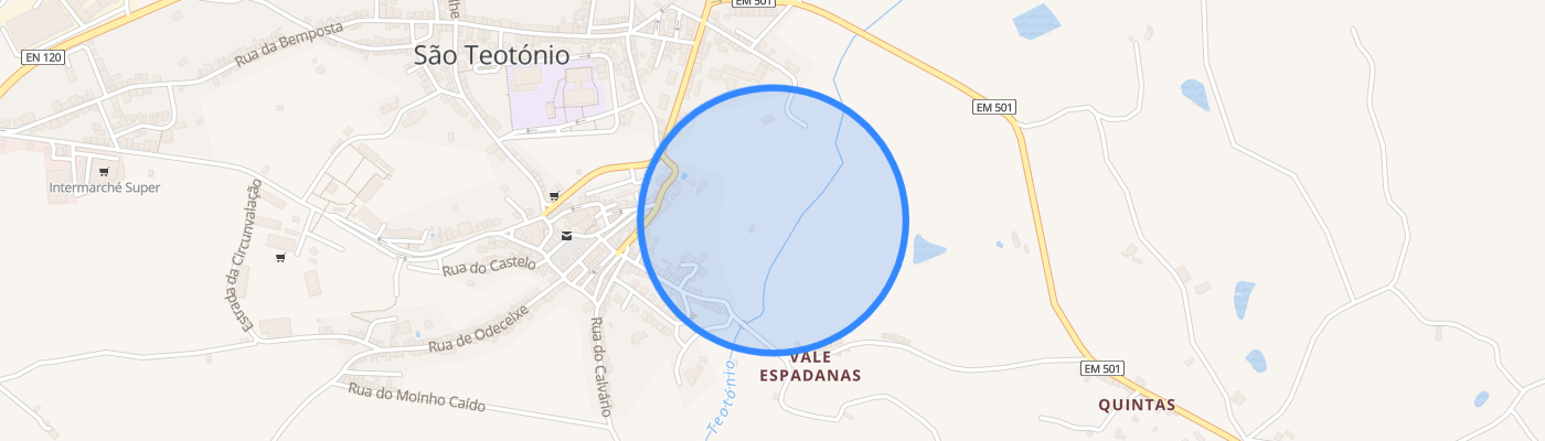 listing-map-picture