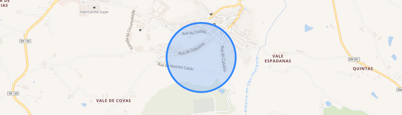 listing-map-picture