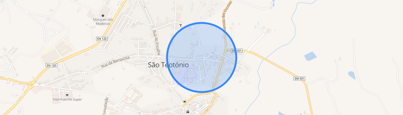 listing-map-picture
