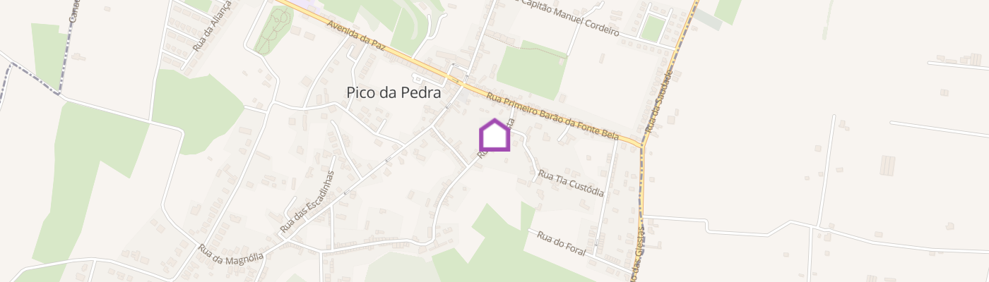 listing-map-picture