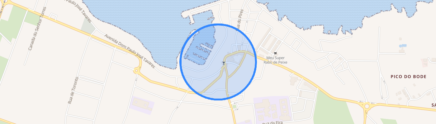 listing-map-picture