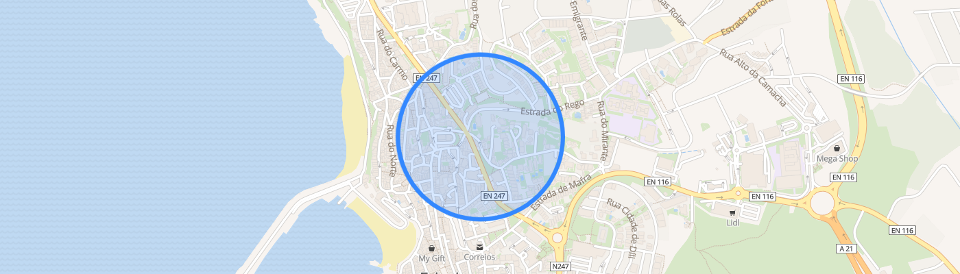 listing-map-picture
