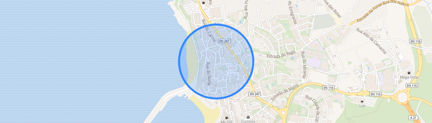 listing-map-picture