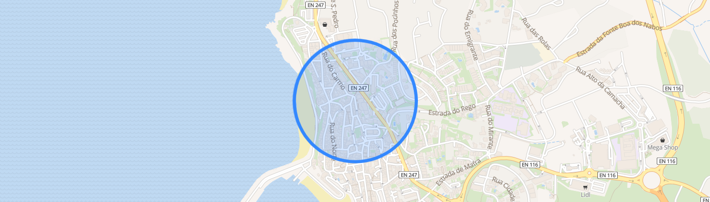 listing-map-picture