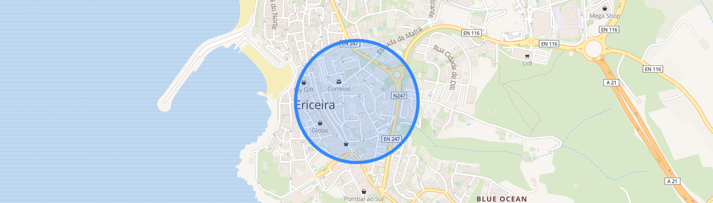 listing-map-picture