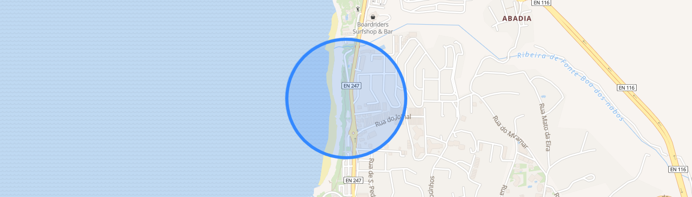 listing-map-picture