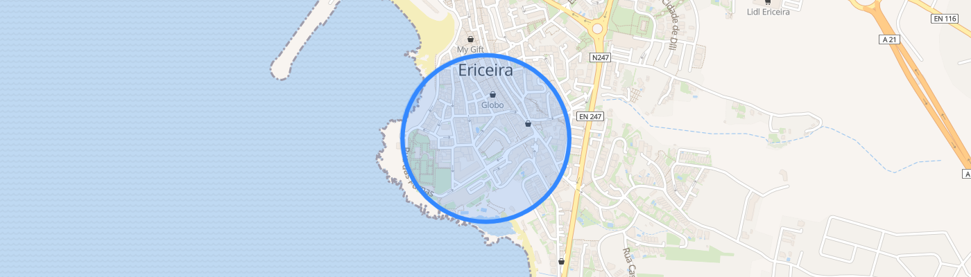 listing-map-picture