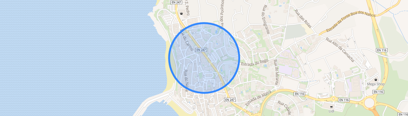 listing-map-picture
