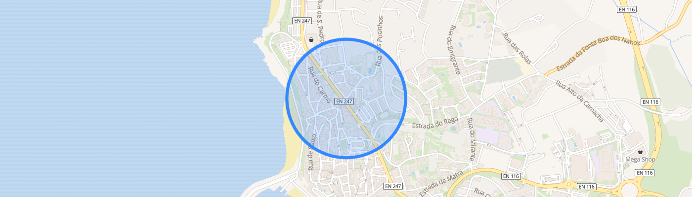 listing-map-picture