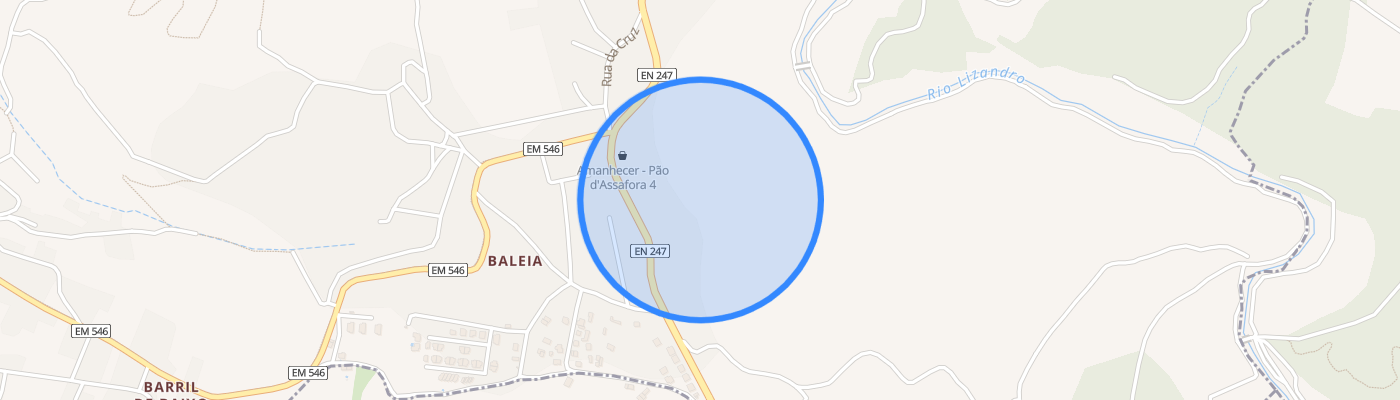 listing-map-picture