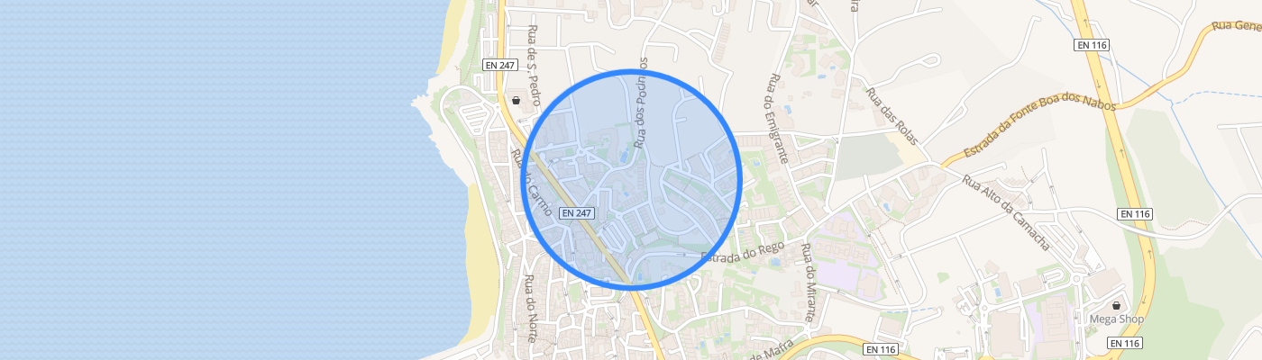 listing-map-picture