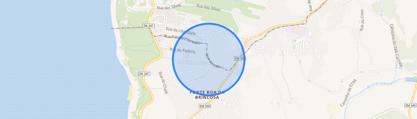 listing-map-picture