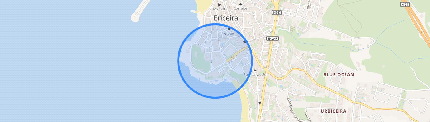 listing-map-picture