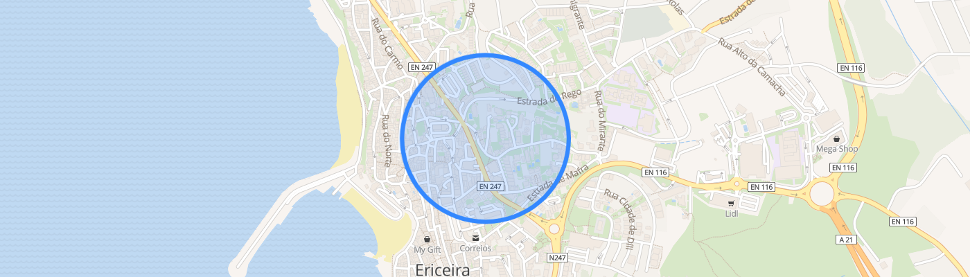 listing-map-picture