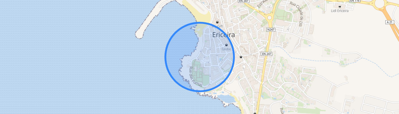 listing-map-picture