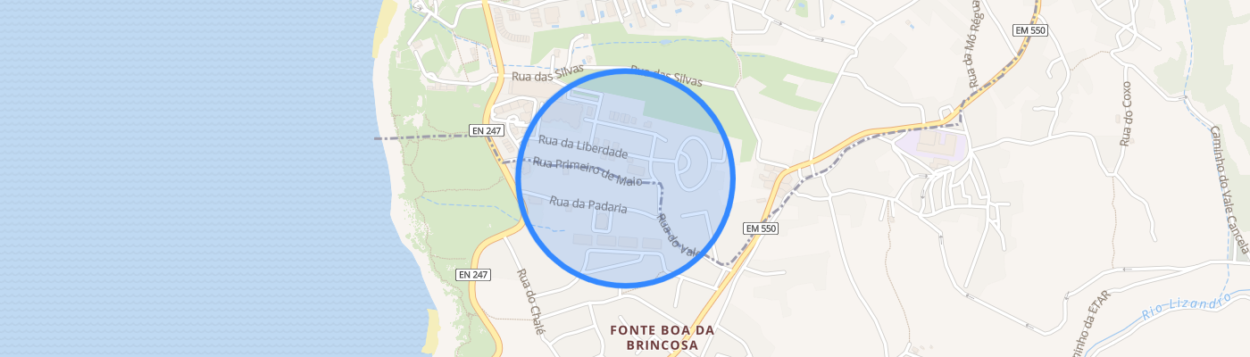 listing-map-picture