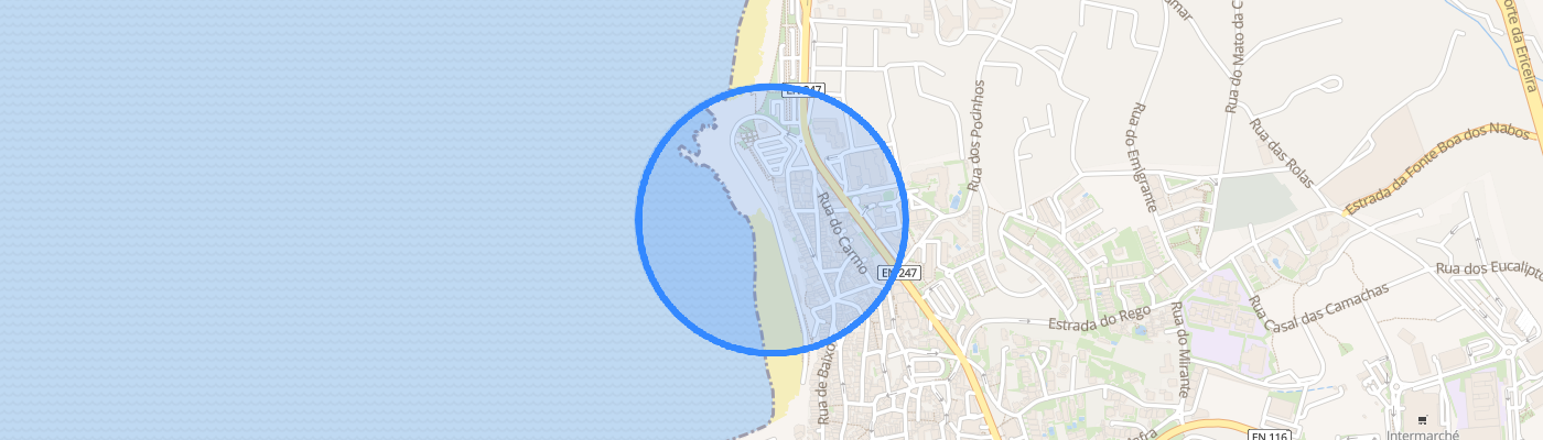 listing-map-picture