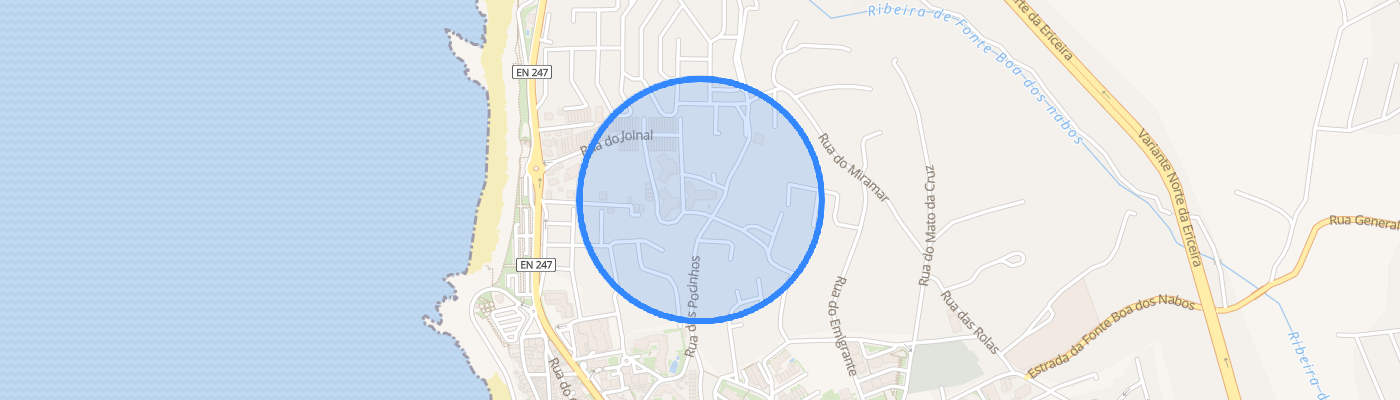 listing-map-picture