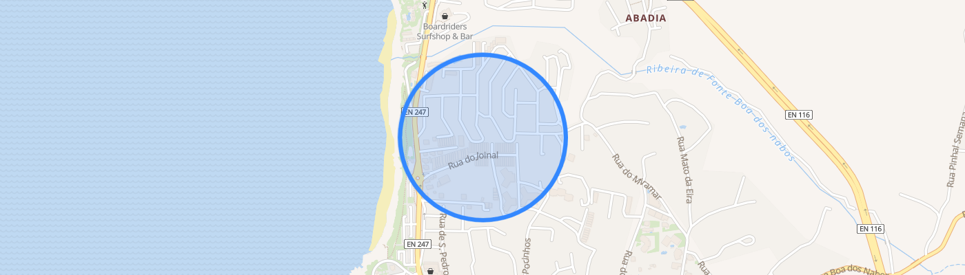 listing-map-picture