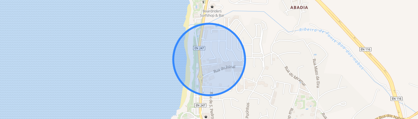 listing-map-picture