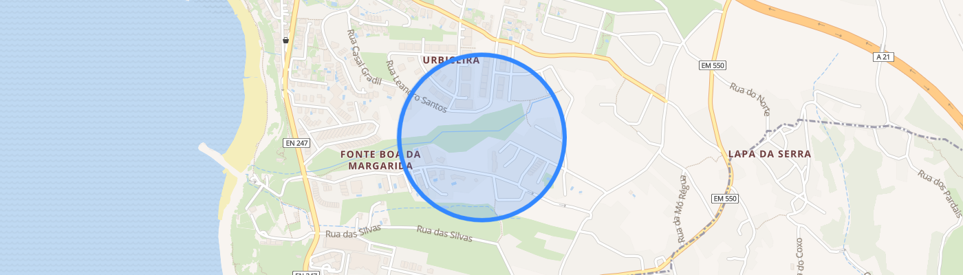 listing-map-picture