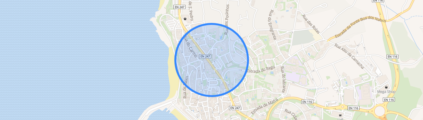 listing-map-picture