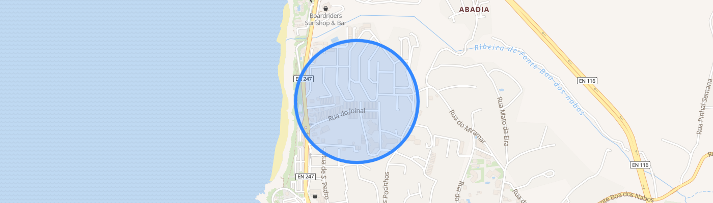 listing-map-picture