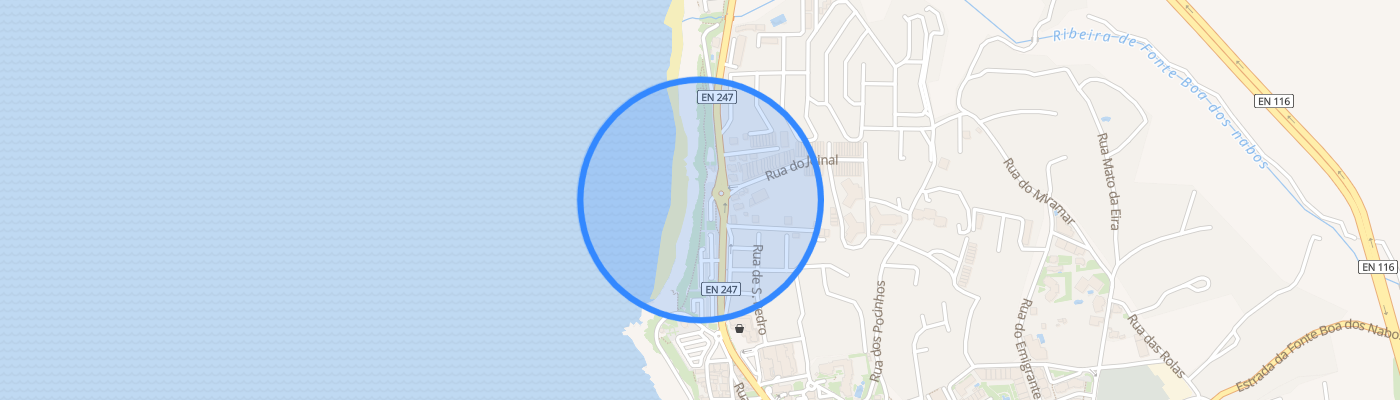 listing-map-picture