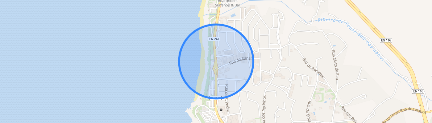 listing-map-picture