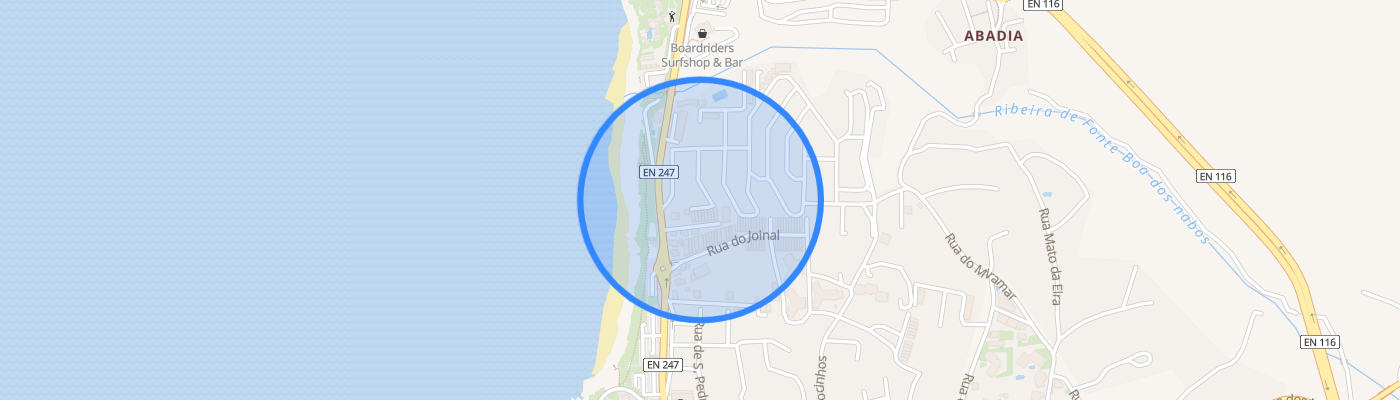 listing-map-picture
