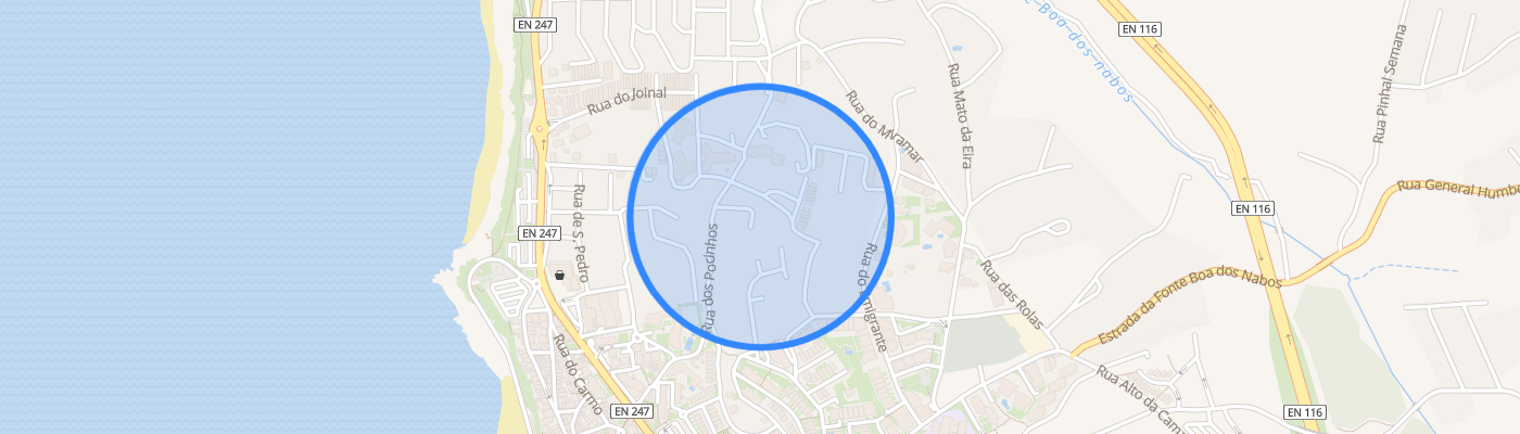 listing-map-picture