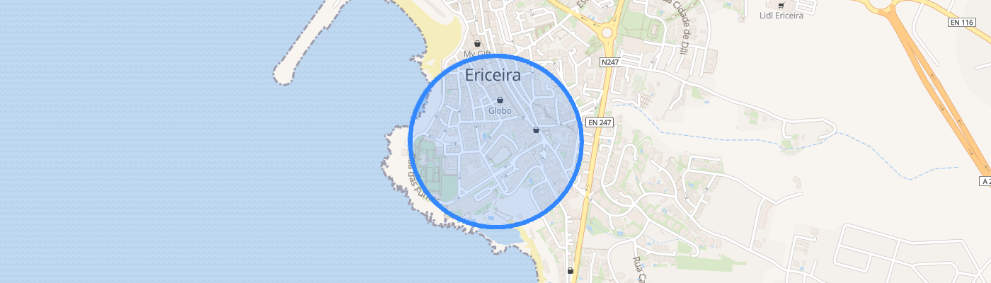 listing-map-picture