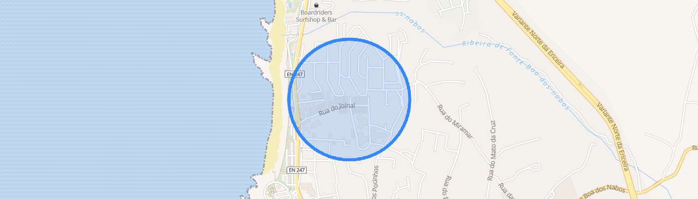 listing-map-picture