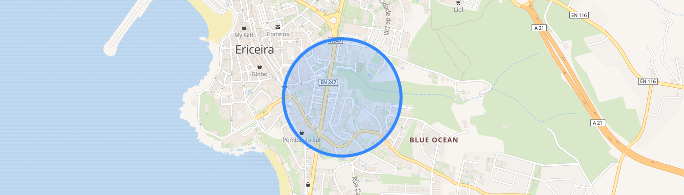 listing-map-picture