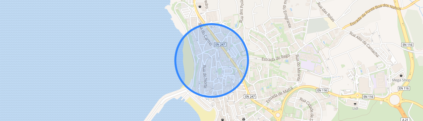 listing-map-picture