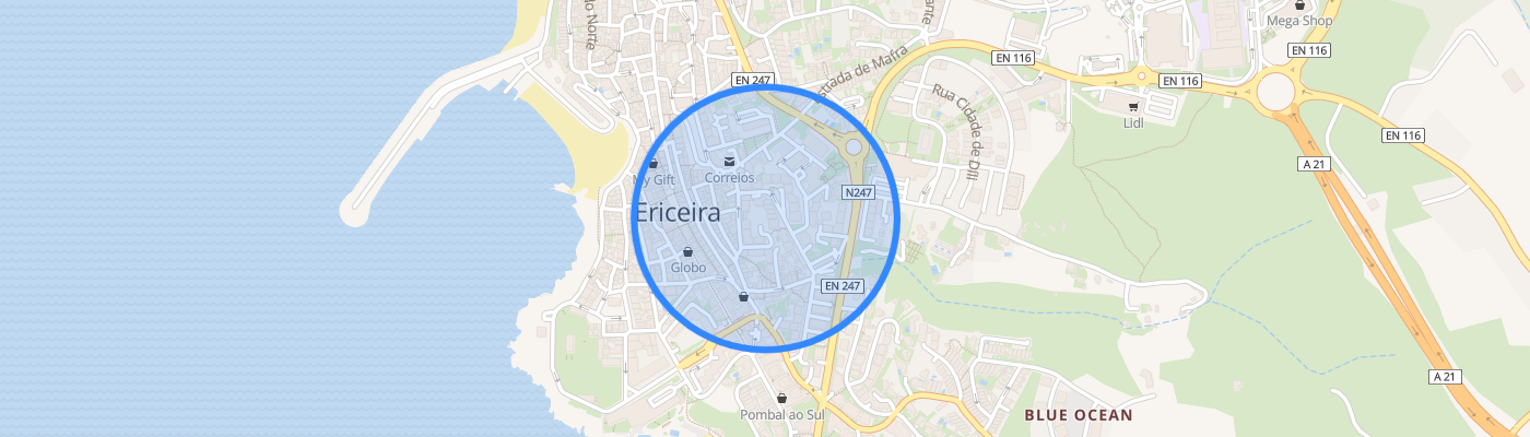 listing-map-picture
