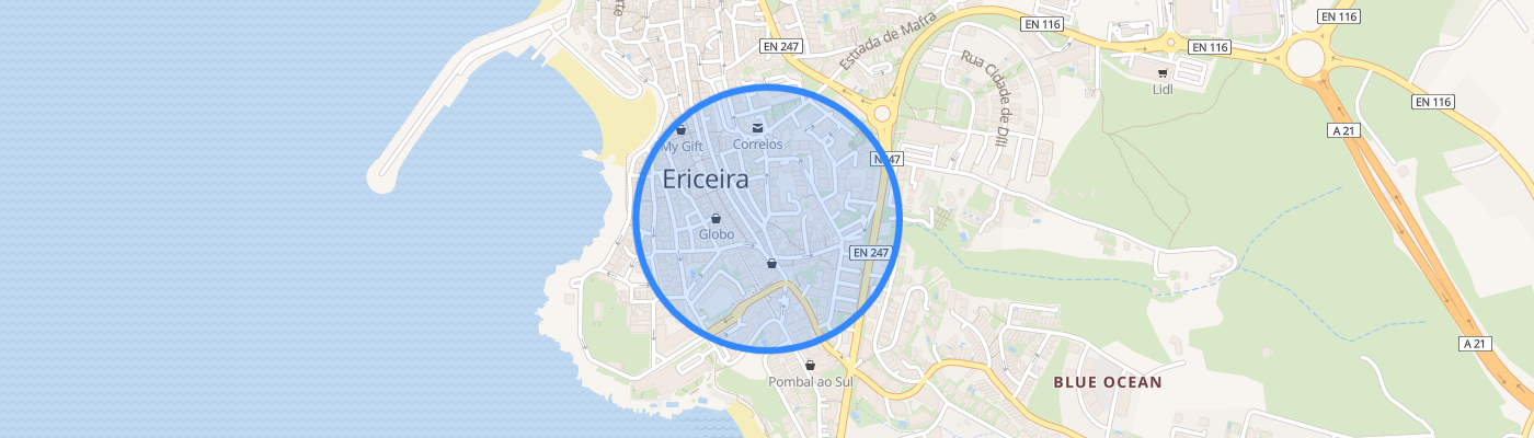 listing-map-picture