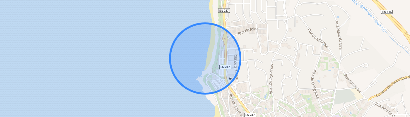 listing-map-picture