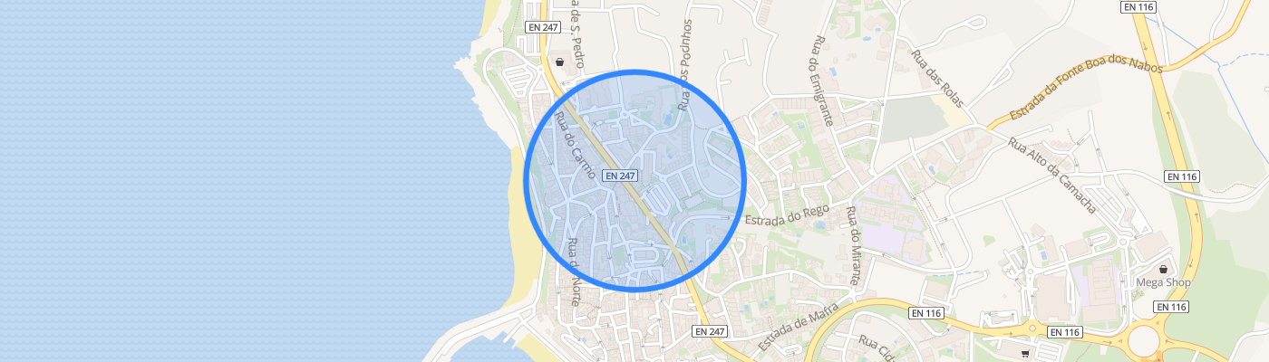 listing-map-picture