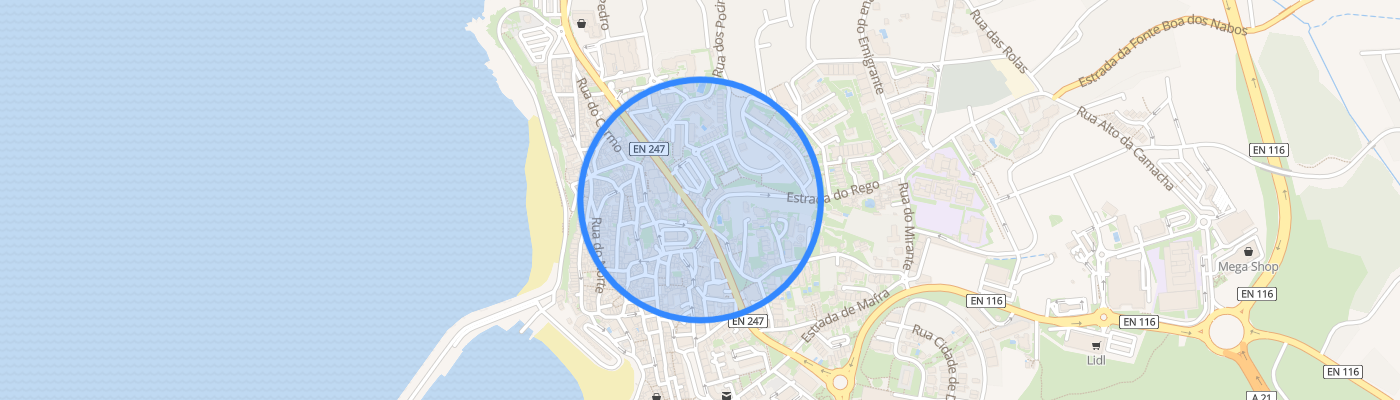 listing-map-picture