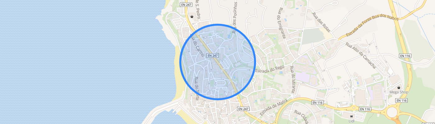 listing-map-picture