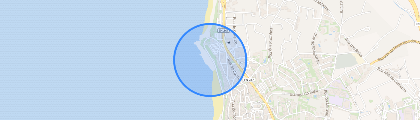 listing-map-picture