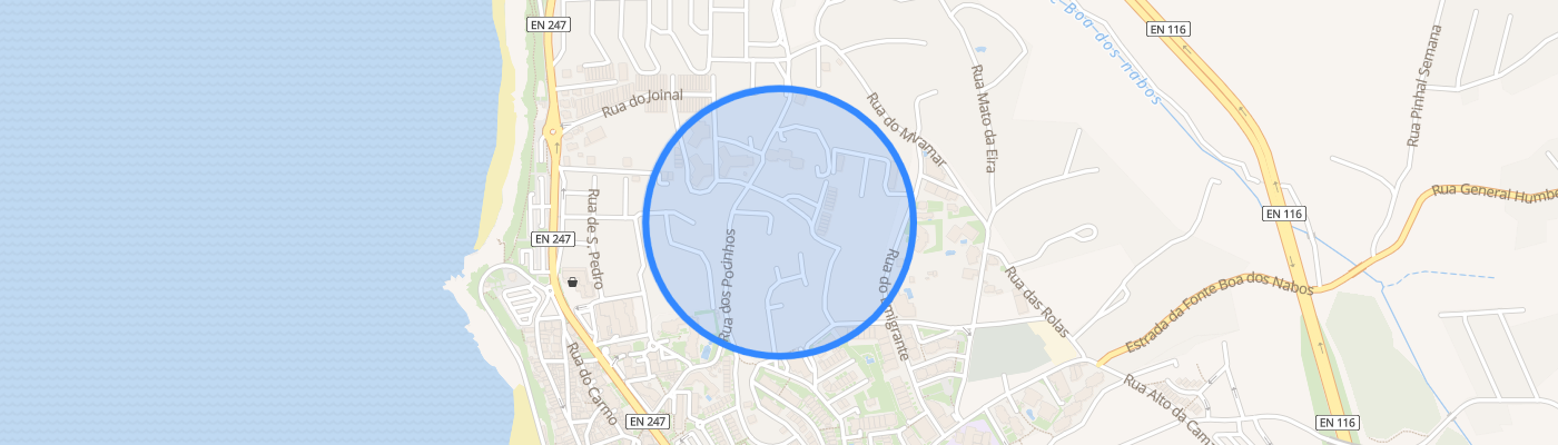listing-map-picture