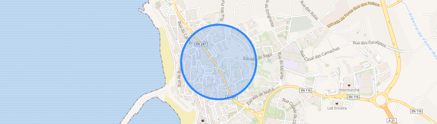 listing-map-picture