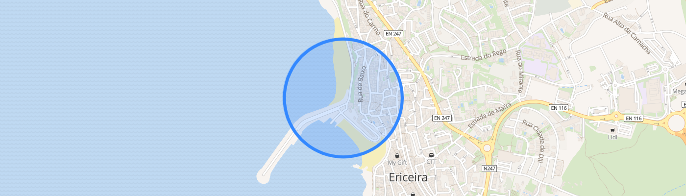 listing-map-picture