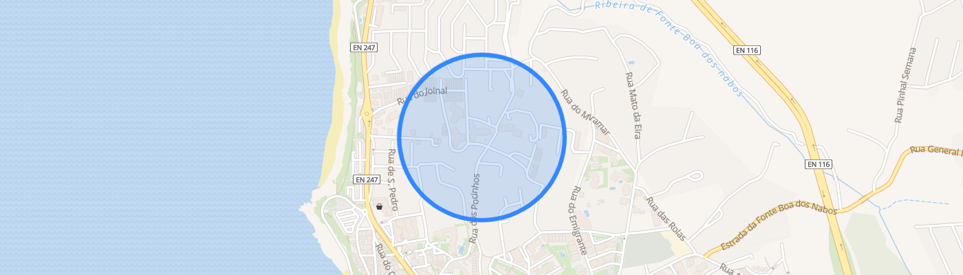 listing-map-picture